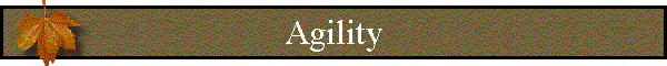 Agility