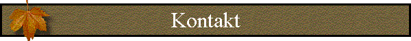 Kontakt