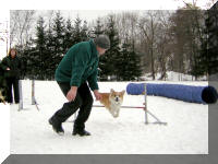 Darney hop!