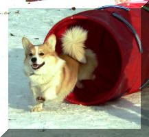 2. tunel 