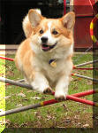 Jump